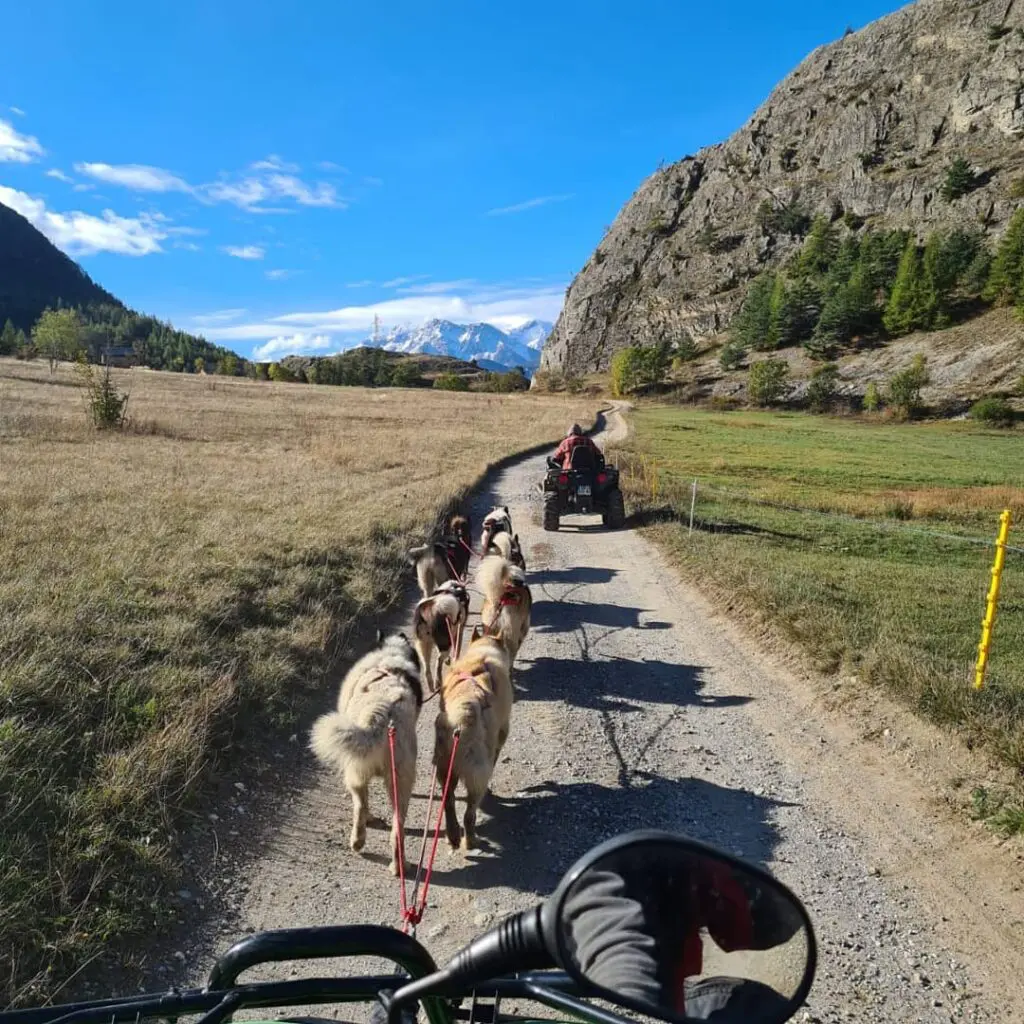 5 activités incontournables à faire à Risoul : des balades en traîneaux à la médiation animale pour toute la famille. 1 121657413 336203391004377 5960596717162391801 n
