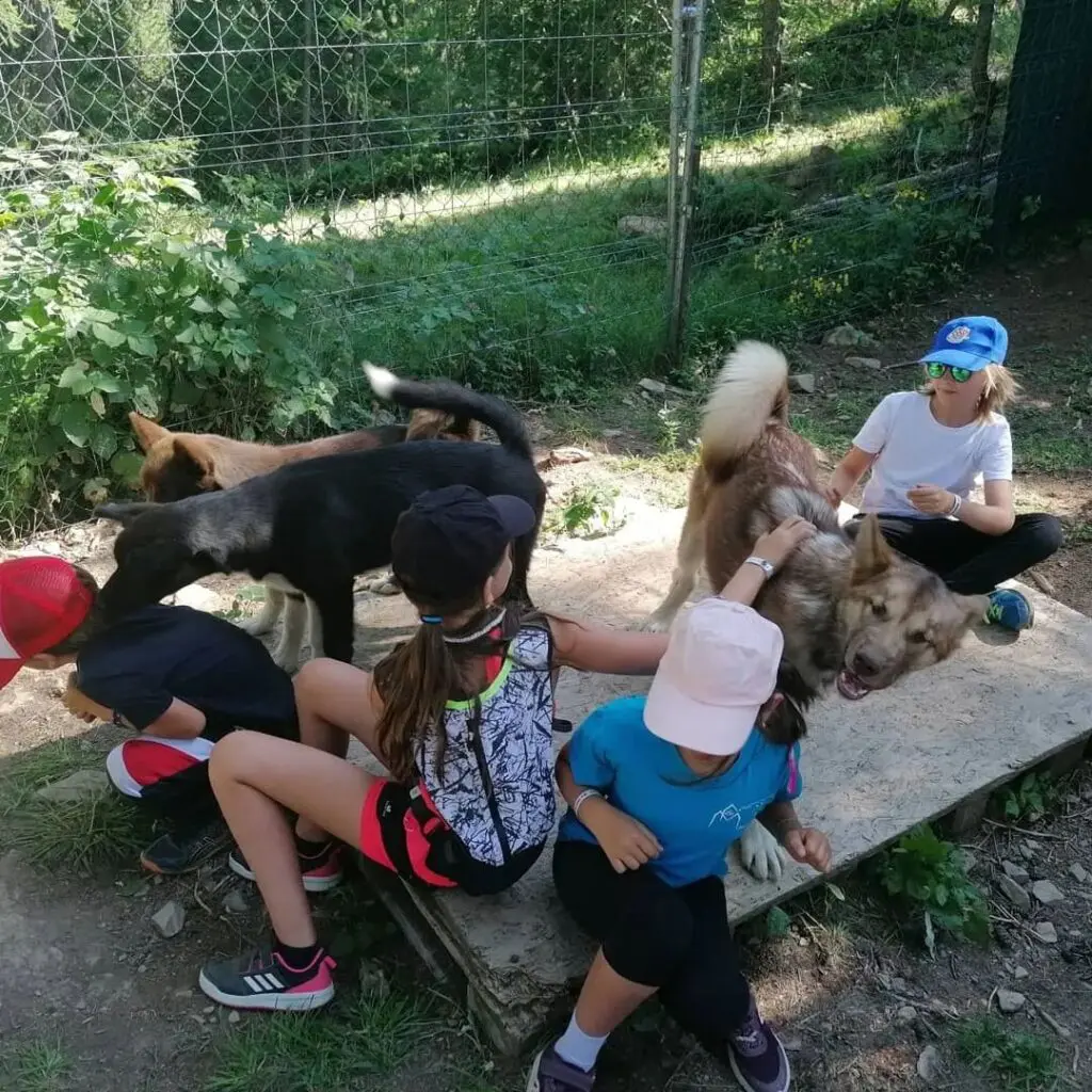 Vivez l’été autrement dans les Hautes-Alpes avec nos chiens de traîneau 🐾 4 Des enfants s'amusant avec des chiens