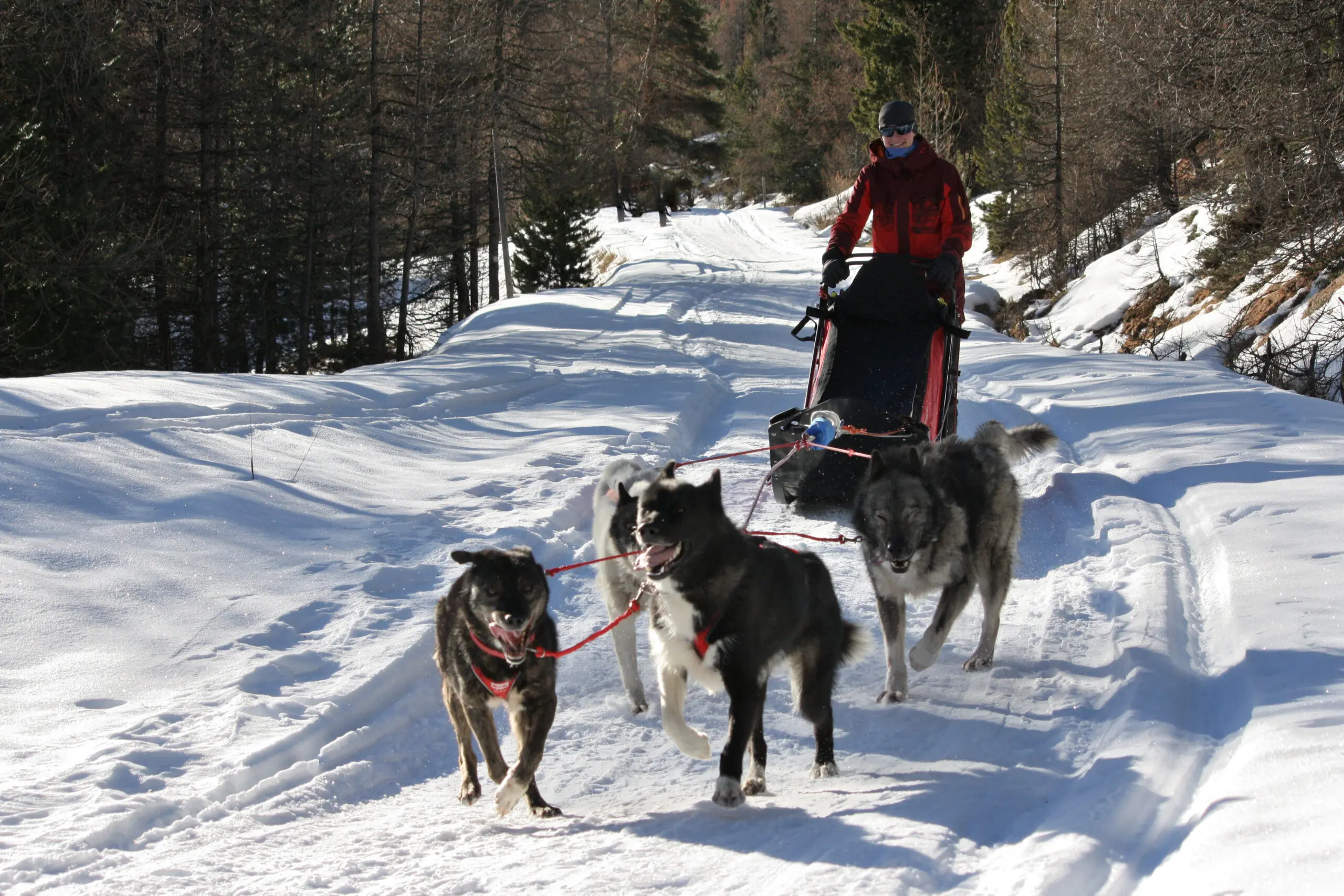 ChienZAiles Pichot Cecile 1 scaled