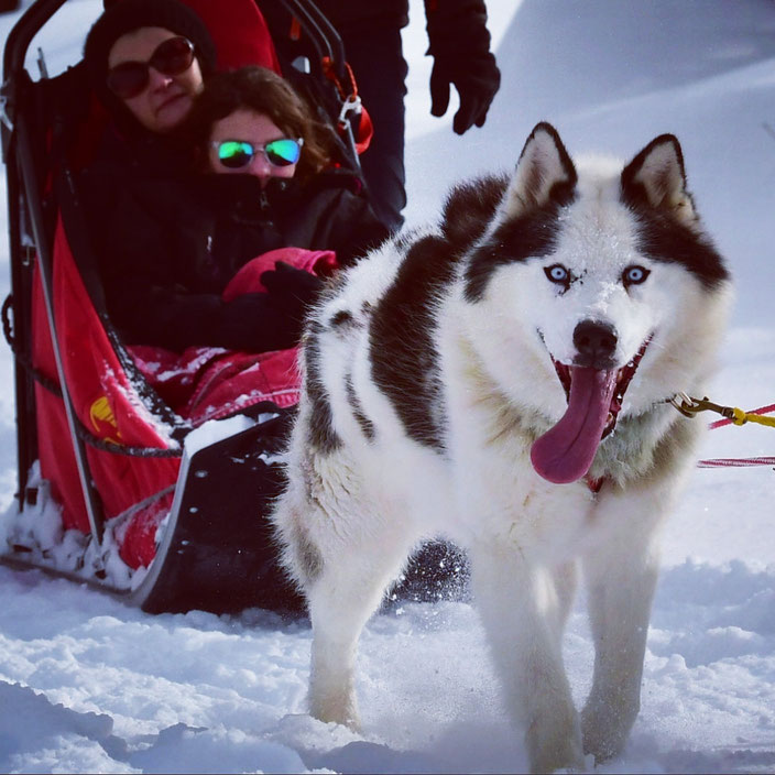 Vue panoramique des montagnes enneigées pendant une promenade en traîneau