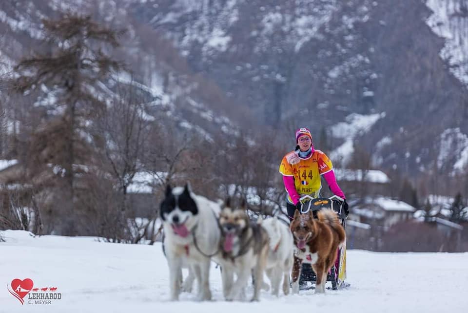 équipe des Traîneaux de la Forêt Blanche en montagne