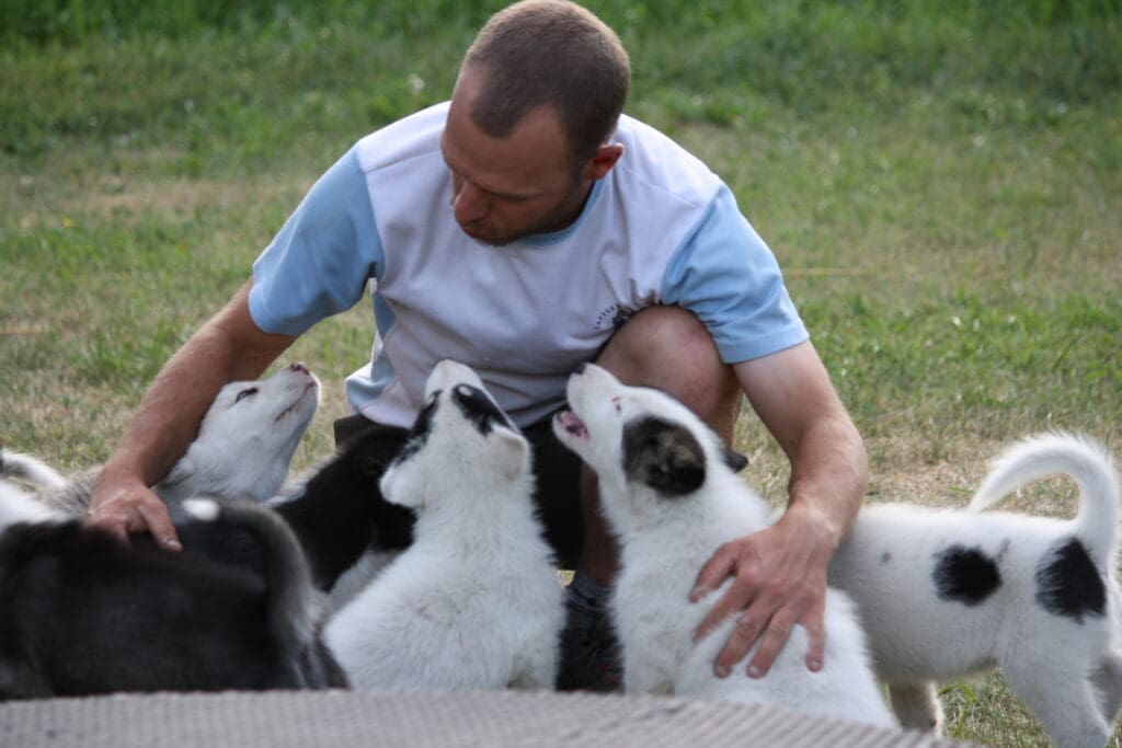 Venez rencontrer nos compagnons à quatre pattes au chenil !