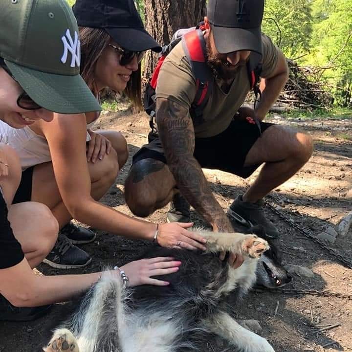 5 activités incontournables à faire à Risoul : des balades en traîneaux à la médiation animale pour toute la famille. 3 118366834 594265024573119 807253039898016836 n