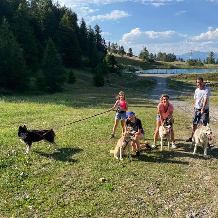 5 activités incontournables à faire à Risoul : des balades en traîneaux à la médiation animale pour toute la famille. 2 118614555 312320303192449 2704528194987909506 n