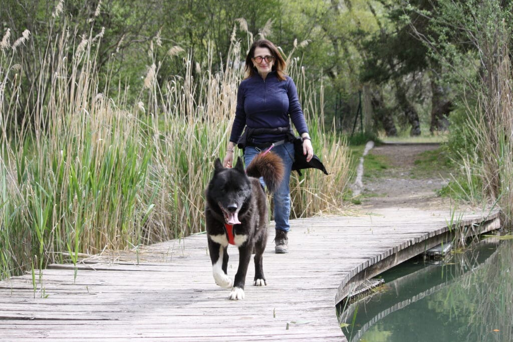 Photo d'une femme marchant tirée par un chien