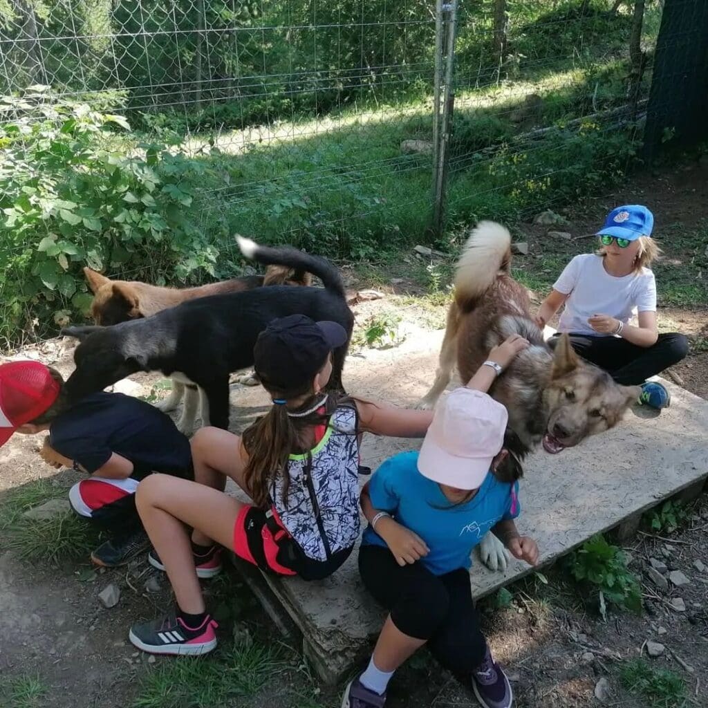 Des enfants s'amusant avec des chiens